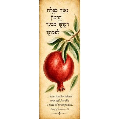 (image for) BOOKMARK: The Pomegranate, SOS 4:3