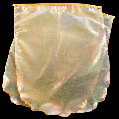 (image for) GLORY FILLED — Gold Holographic Worship Flag Set