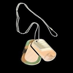 Dog tags with silencer and stainless steel chain included with the garment