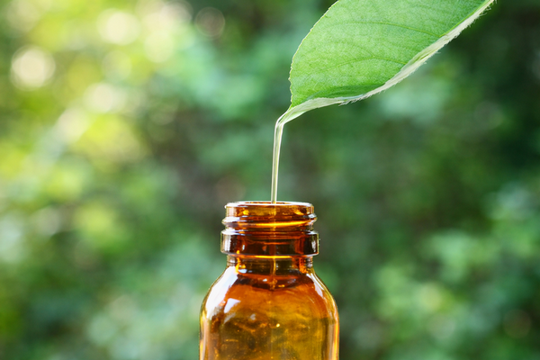 Pouring botanical oil, representing biblical health and natural healing
